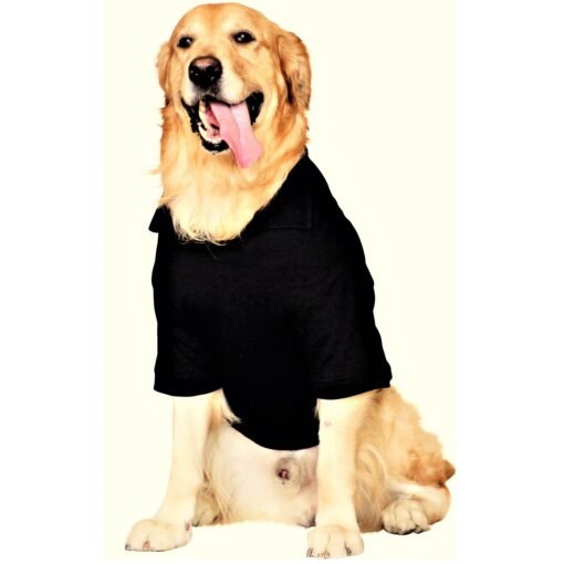 Black Polo T Shirt