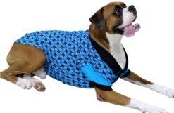 Polo Xtra Small to Xtra Large, Argyle Check, Blue