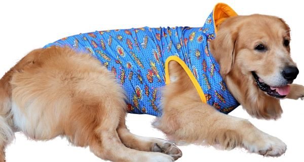 Gangsta Hoodie for Dogs - Image 2
