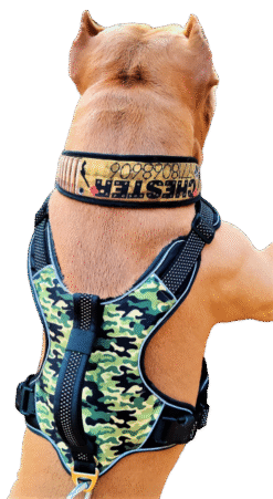No Pull Dog Harness with Front Clip - Camouflage