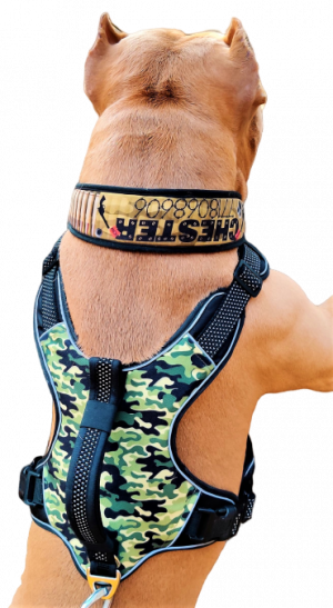 No Pull Dog Harness with Front Clip - Camouflage
