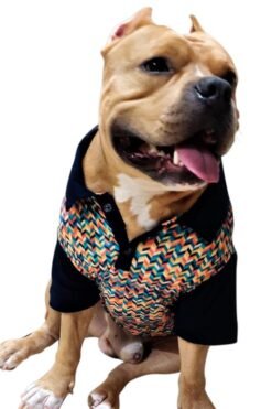 Polo Xtra Small to Xtra Large, Chevron, Multi