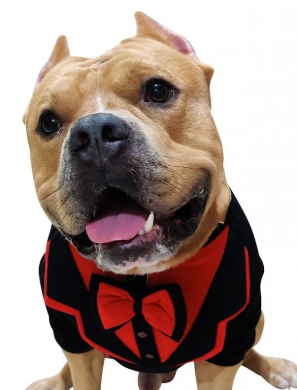 Tuxedo Xtra Small to Xtra Large, 007 Mr Bone Red, Black & Red - Image 2