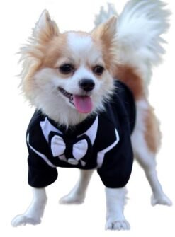 Tuxedo Xtra Small to Xtra Large, 007 Mr Bone White, Black & White