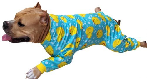 Onesie / Jumpsuit Xtra Small to Xtra Large, Ducky, Sea Blue
