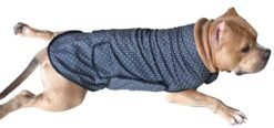 Wrap Around Jacket Xtra Small to Xtra Large, , Grey