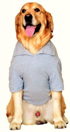 Grey Melange Polo T Shirt