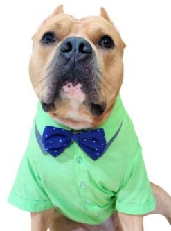 Bow Shirt Set Xtra Small to Xtra Large, Mr Bow, Sea Green