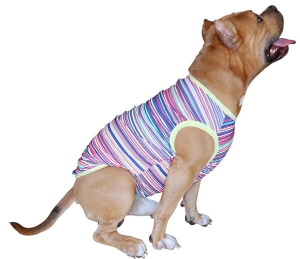 Sleeveless Xtra Small to Xtra Large, Multi Stripe, Multi - Image 3