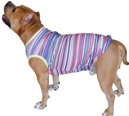 Sleeveless Xtra Small to Xtra Large, Multi Stripe, Multi