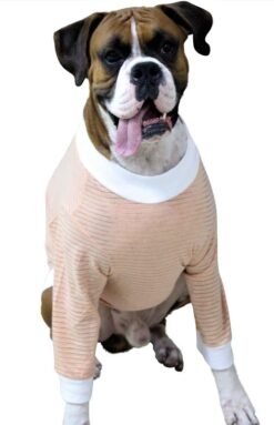 Henley Xtra Small to Xtra Large, Peach Stripe, Peach