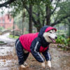 Doxters DryMax Full-Coverage Dog Raincoat Pink & Navy Blue