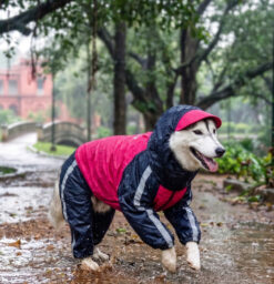 Doxters DryMax Full-Coverage Dog Raincoat Pink & Navy Blue