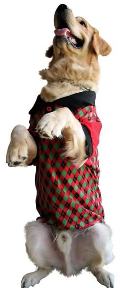 Polo Xtra Small to Xtra Large, Argyle Check, Red