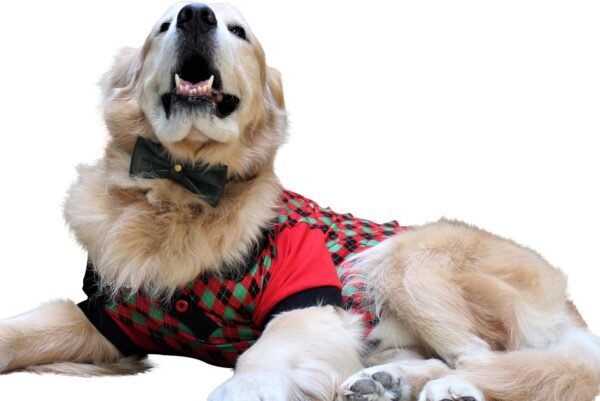 Polo Xtra Small to Xtra Large, Argyle Check, Red - Image 3