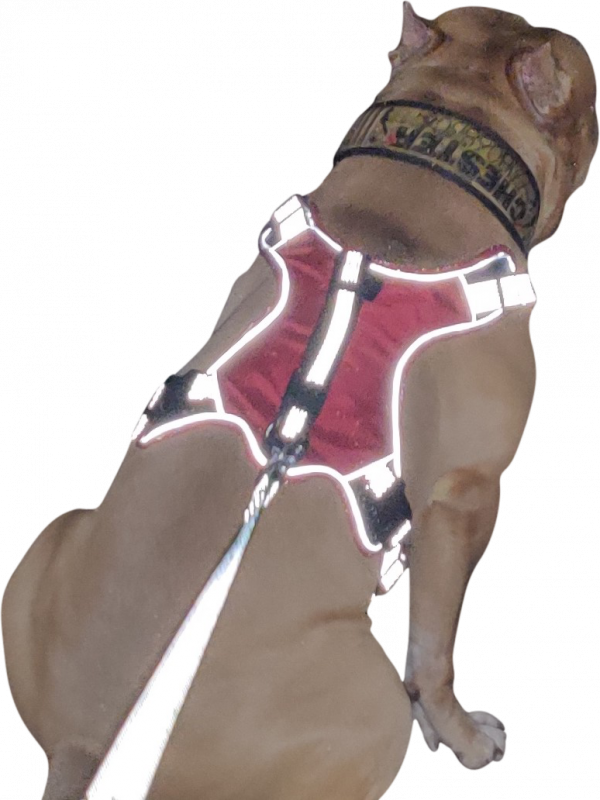 No Pull Dog Harness with Front Clip -Red - Image 3