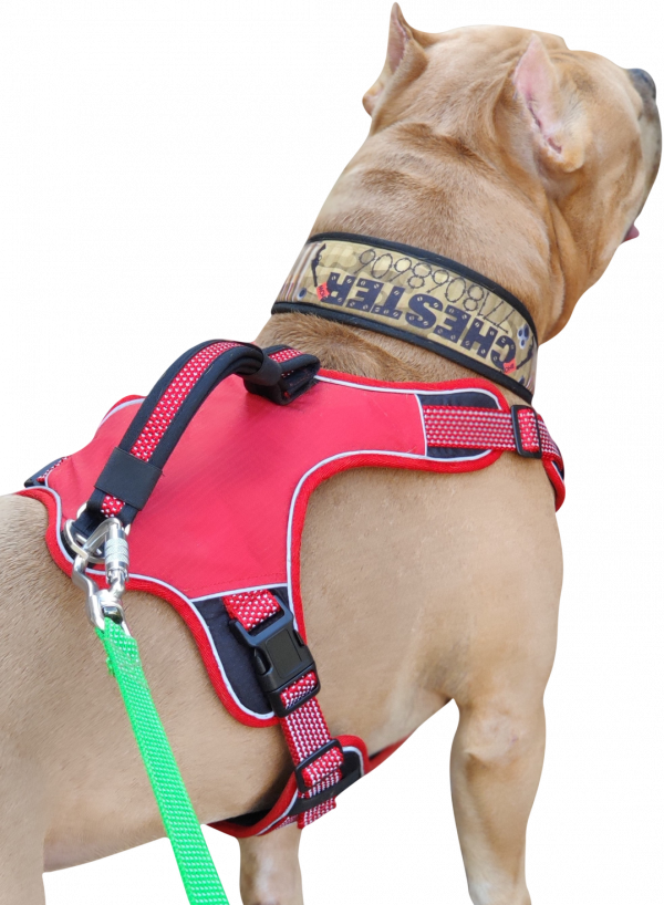 No Pull Dog Harness with Front Clip -Red - Image 6