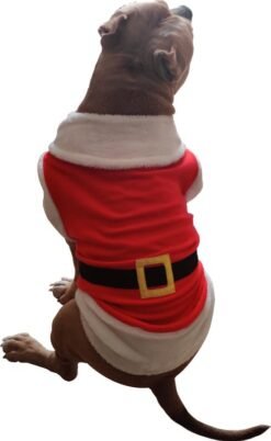 Santa Jacket Xtra Small to Xtra Large, Santa Paws Red and White
