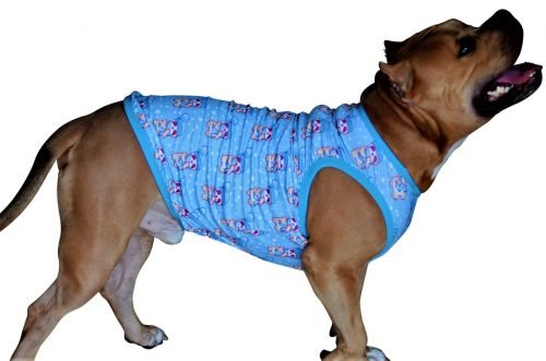 Sleeveless Xtra Small to Xtra Large, Snowy Panda, Blue