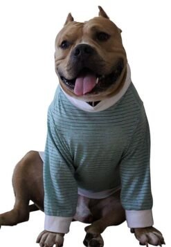 Henley Xtra Small to Xtra Large, Teal Stripe, Teal