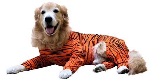 Tiger Onesie Jumpsuit - Image 2