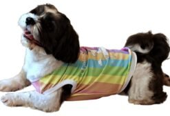 Sleeveless Xtra Small to Xtra Large, Unicorn, Multi