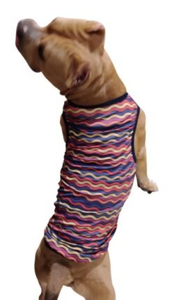 Sleeveless Xtra Small to Xtra Large, Wavy Stripes, Multi
