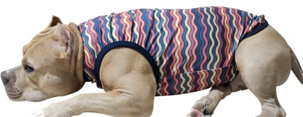 Sleeveless Xtra Small to Xtra Large, Wavy Stripes, Multi - Image 2