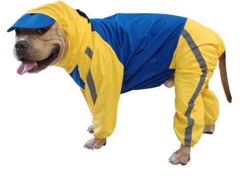 Doxters DryMax Full-Coverage Dog Raincoat – DryMax (Sizes 14–40)