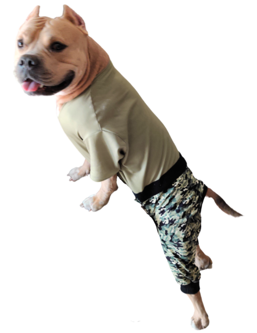 Dogtain Barksalot - Image 3