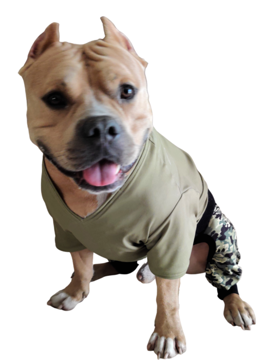 Dogtain Barksalot - Image 2