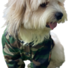Camoflage Winter Jacket