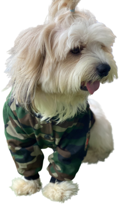 Camoflage Winter Jacket