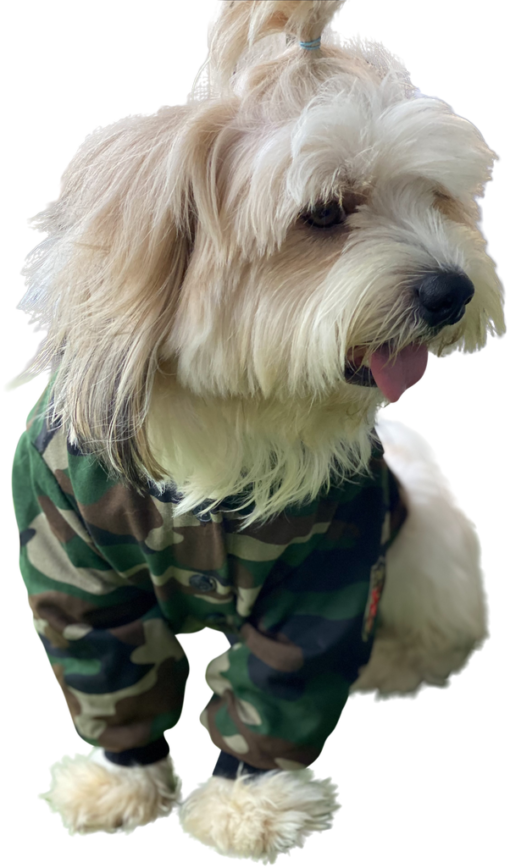 Camoflage Winter Jacket