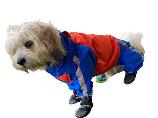 Doxters DryMax Full-Coverage Dog Raincoat – DryMax (Sizes 14–40)