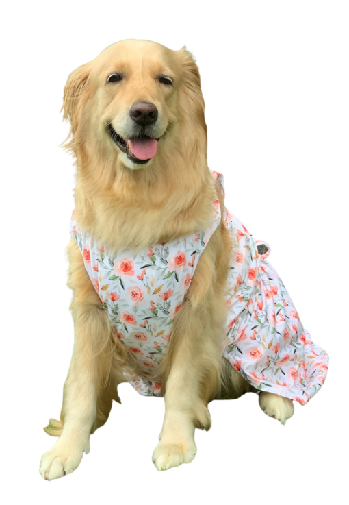 Park Glam Dress - Image 2