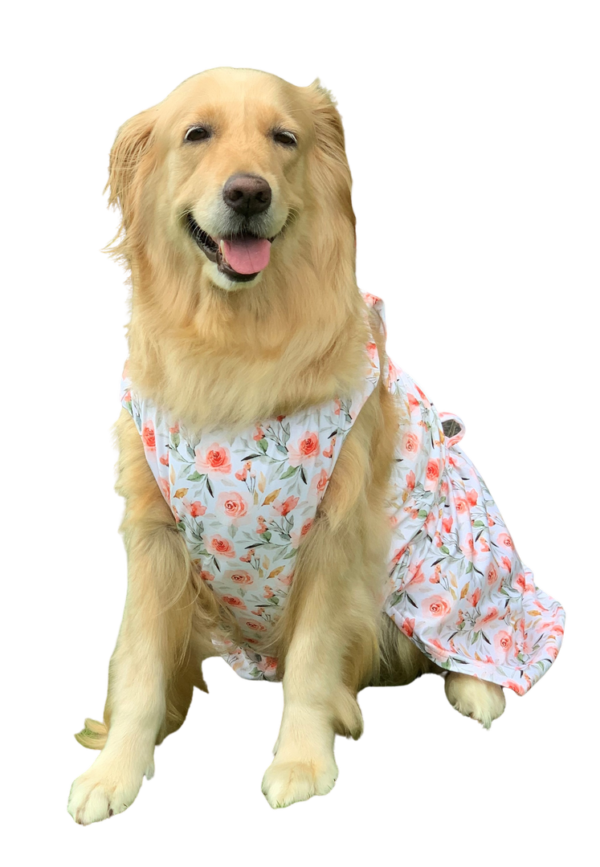 Park Glam Dress - Image 2