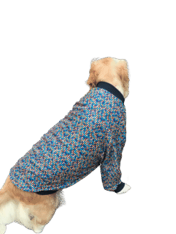 Sweater Xtra Small to Xtra Large, Scandinavian Art Sweater