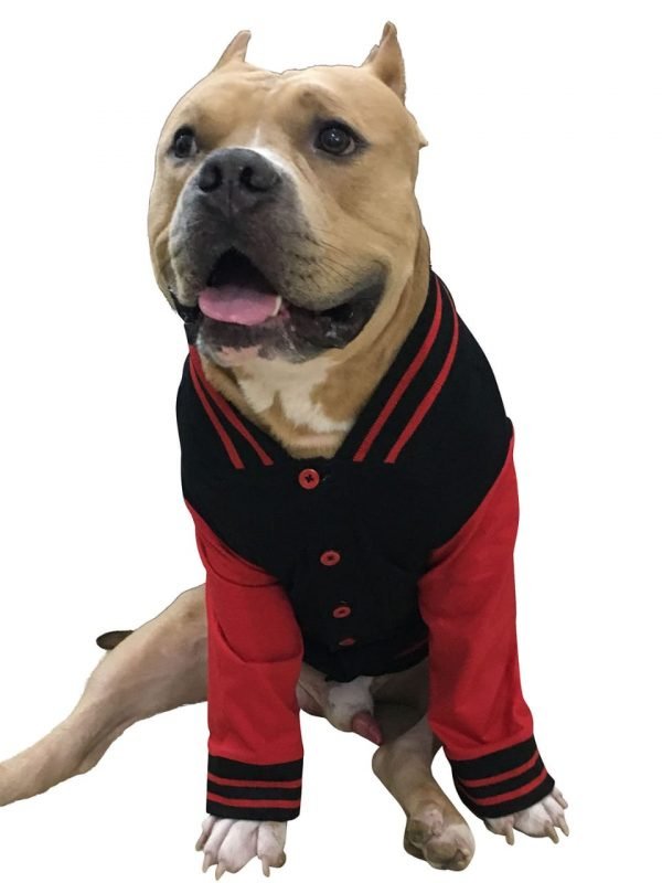Varsity Jacket Xtra Small to Xtra Large, Sir Licks a Lot, Fetching Club Sports Jacket Red and Black, Black and Red - Image 2
