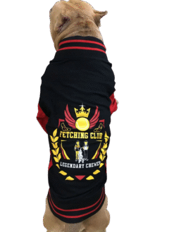 Varsity Jacket Xtra Small to Xtra Large, Sir Licks a Lot, Fetching Club Sports Jacket Red and Black, Black and Red
