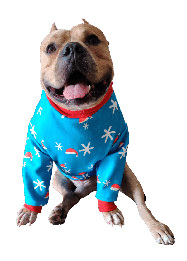 Sweater Xtra Small to Xtra Large, Winter Zen - Image 2