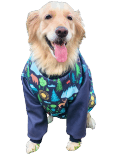 Sweater Xtra Small to Xtra Large, Camping Sweater