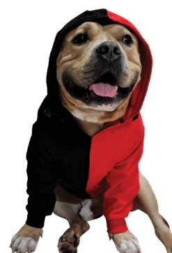 Hoodie Xtra Small to Xtra Large, Hipster Hoodie, Red and Black