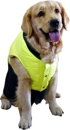 Puffer Waterproof Jacket for dogs Neon Green and Navy Blue