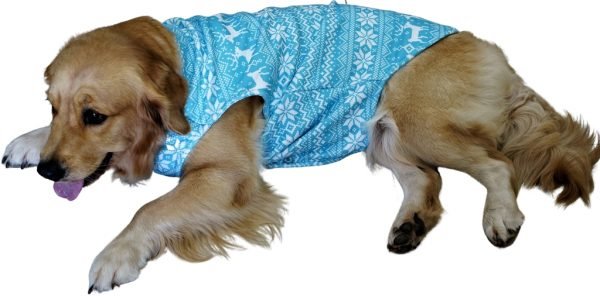 Blue Tribal Cardigan for Dogs - Image 2