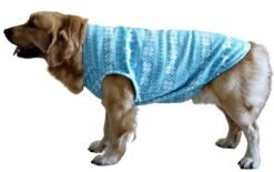 Blue Tribal Cardigan for Dogs