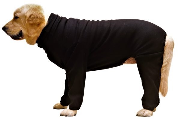 Premium Jumper for Dogs Black - Image 2