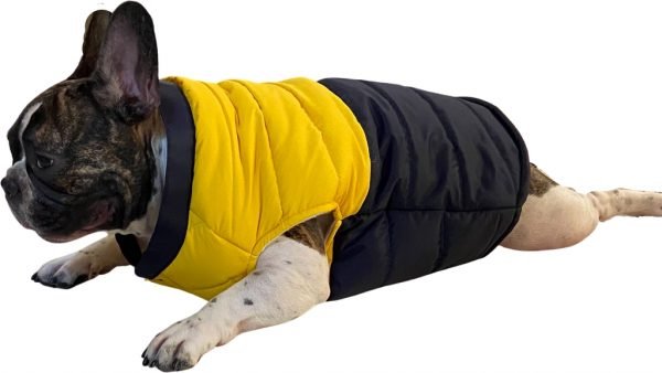 Puffer Waterproof Jacket for dogs Yellow and Navy Blue - Image 2