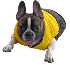 Puffer Waterproof Jacket for dogs Yellow and Navy Blue