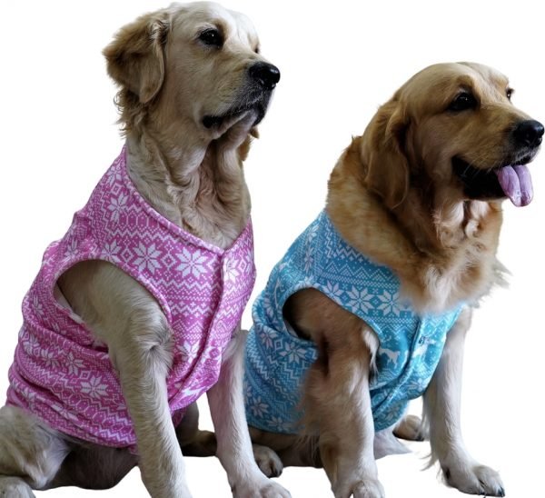 Blue Tribal Cardigan for Dogs - Image 3